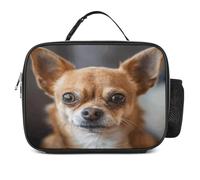 MNVTSKOP A Brown Chihuahua Lunch Box Riutilizzabile Lunchbox a tenuta stagna Tote Bag con manico per ufficio picnic spiaggia