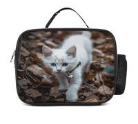 MNVTSKOP Blue Eyes Cat Lunch Box riutilizzabile Lunchbox a prova di perdite Tote Bag con manico per ufficio picnic spiaggia