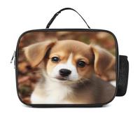 MNVTSKOP Carino Cane Lunch Box Riutilizzabile Lunch Box A Prova di Perdite Tote Bag con Manico per Ufficio Picnic Spiaggia