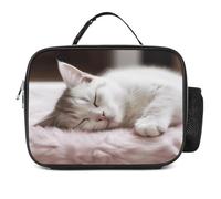 MNVTSKOP Contenitore per il pranzo a forma di gatto che dorme, riutilizzabile, a prova di perdite, con manico, per ufficio, picnic, spiaggia