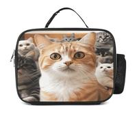 MNVTSKOP Divertente contenitore per il pranzo a forma di gatto, riutilizzabile, a prova di perdite, con manico, per ufficio, picnic, spiaggia