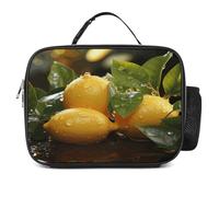 MNVTSKOP Fresh Lemon Lunch Box Riutilizzabile Lunch Box a Prova di Perdite Tote Bag con Manico per Ufficio Picnic Spiaggia