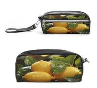 MNVTSKOP Fresh Lemon Makeup Bag Piccolo Cosmetico Viaggio Caso Portatile Cancelleria Organizzatore per Donne Insegnante