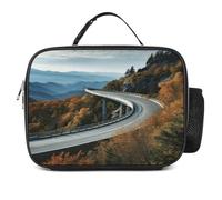 MNVTSKOP Parkway Road Bridge - Contenitore per il pranzo, riutilizzabile, a prova di perdite, con manico per ufficio, picnic, spiaggia