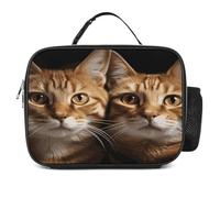 MNVTSKOP Scatola portapranzo per gatti riutilizzabile borsa tote a prova di perdite con manico per ufficio picnic spiaggia
