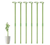 Moageme 6 pali di supporto per piante, supporto per piante da giardino, con stelo singolo, amarillide, supporto per piante, bastoncini per fiori, rosa, pomodori, giglio, peonia (80 cm)