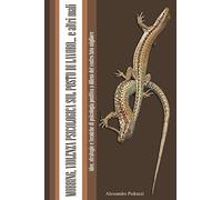 Mobbing, violenza psicologica sul posto di lavoro. . . e altri mali