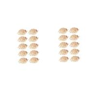 Mobestech 2 Set Esemplare Conchiglie Conchiglia Naturale Pescare di Grandi Dimensioni Decorazione del Serbatoio del Pesce Ornamenti del Serbatoio di Pesce 10 Pezzi*2