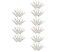 Mobestech 5 Set Pergamene Mezuzah Ebraiche con Benedizioni Bibliche Decorazione Religiosa per Targhe Sacre Israeliane per Benedizione E Casa 12 Pezzi*5