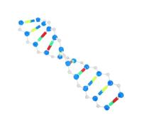 Mobestech Modello Dna Doppia Kit Educativo per Studenti e Laboratori Scientifici Struttura Molecolare Interattiva per Apprendimento Genetica e Biologia