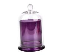 Mobestech Set da 1 Copertura in Vetro per Aromaterapia Tazza per Aromi Decorazione Trasparente Coperchio Centrotavola Elegante per Ambienti e Matrimoni Diametro 10 CM