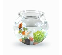 Mobiclinic® pets, Boccia per pesci, Rotondo, Nemo, 4 litri, Plastica pet eco, Design trasparente, 20x20x17, 5cm, Facile pulizia, Resistente, Ideale la decorazione domestica, Erbe acquatiche