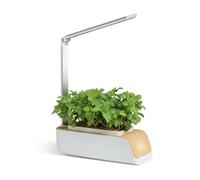 Mobiclinic®, Sistema di Coltivazione idroponica, Mini-Grow, Luce Crescita, Altezza e Angolo Regolabili, Timer promemoria per l'acqua, Kit la germinazione delle Piante, LED Automatico, 4, 5 w