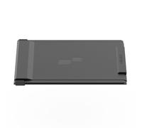 Mobile Pixels Duex Plus DS