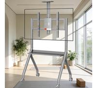Mobile TV Stand Rotelle, 47"-75"/55"-254 cm Smart Board Stand per lavagna interattiva, supporto TV da pavimento, per ufficio, aula, casa grigio-139,7-254 cm