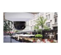 Mobotix D71 Telecamera completa 4K DN100 (giorno/notte)