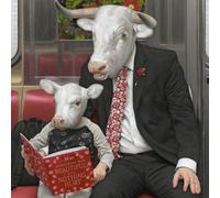 Moby Everything Was Beautiful, and Nothing Hurt (CD)