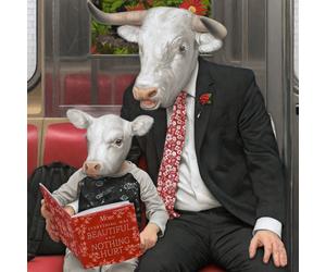 Moby Everything Was Beautiful, And Nothing Hurt (CD)