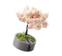 Mocoocouture Vaso verde di pino in miniatura, decorazione in plastica per case delle bambole, interior design, oggetti di scena foto, piccoli alberi artificiali, decorazioni per la casa delle bambole