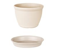 Mocturnity Vaso da Fiori nel Resina Addensata con Vassoio nel Plastica Rotonda Forniture per Giardinaggio Fioriera per Piante Grasse Bianca Crema