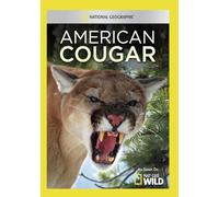 American Cougar