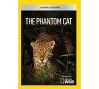 Phantom Cat /
