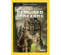 Mod-Ng-Return of Clouded Leopards