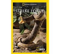 Strike Force (DVD)
