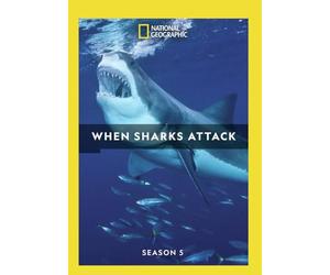 Mod-Ng-When Sharks Attack - Season 5
