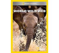Mod-Ng-World Wide Web