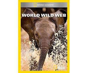 Mod-Ng-World Wide Web