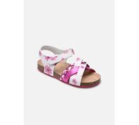 Mod8 - Koenia Rosa - Sandali e scarpe aperte 33 Rosa