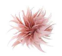 Moda piuma spilla Pin sciarpa fibbia silenzio risvolto gioiello regalo per le donne ragazze adolescenti Corsage Pins per le donne moda, Taglia unica, come descritto