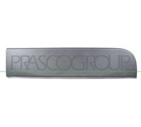 Modan. Porta Post. SX Nera Goffr. Con Clips Renault Master 10/19 - 02/24