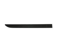 Modanatura, carrozzeria BLIC 5703-04-6042574P