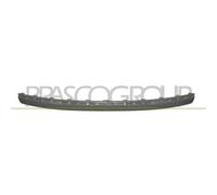 Prasco Modanatura centrale paraurti 5703-05-3527968P per Mercedes E-Class W210/S210 1999-2002