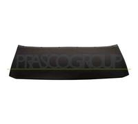 Modanatura Centrale Con Primer Paraurti Anteriore Per Ford Kuga Dal 2013 Al 2016