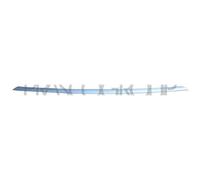 Modanatura Centrale Cromata Bmw 3 Series - F30/f31 Dal 2011 Al 2014 51117293094