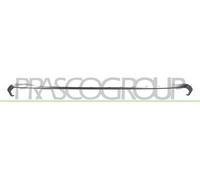 MODANATURA CENTRALE CROMATA-PARAURTI POSTERIORE Q5 (FY) - Mod. 09/20 -