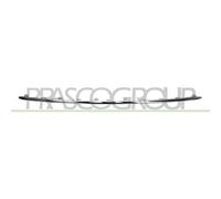 Modanatura Centrale Cromata Per Audi A6 (4gc) Dal 2014 Al 2016 Ad0401255