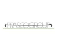 Modanatura Centrale Cromata Per Audi Q5 (fy) Dal 2020 Ad8261265 80a853057a3q7
