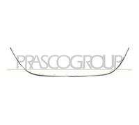 Modanatura Centrale Cromata Per Opel/vauxhall Astra J (p10) Dal 2012 Al 2015