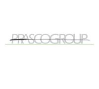 PRASCO RN3321255 Modanatura paraurti