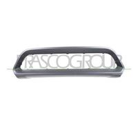 Modanatura Centrale Grigia Mini Mini (bmw) Countryman (f60) Dal 2020 51119880355