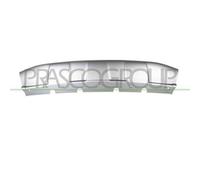 Modanatura Centrale Inferiore Argento Bmw X3 - G01 Dal 2017 Al 2021 51117415631