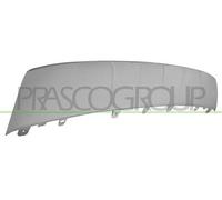 MODANATURA CENTRALE INFERIORE ARGENTO-PARAURTI ANTERIORE Q5 (FY) - Mod. 09/20 -
