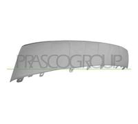 Modanatura Centrale Inferiore Argento Per Audi Q5 (fy) Dal 2020 Ad8261215