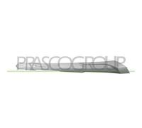 Modanatura Centrale Inferiore Argento Per RENAULT CAPTUR Dal 2019 RN7041245