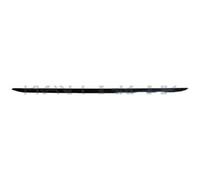 Modanatura decorativa/protettiva, paraurti BLIC 5513-00-00639211P