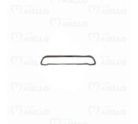 MODANATURA CORNICE CALANDRA ANTERIORE CROMATA MICROCAR M8